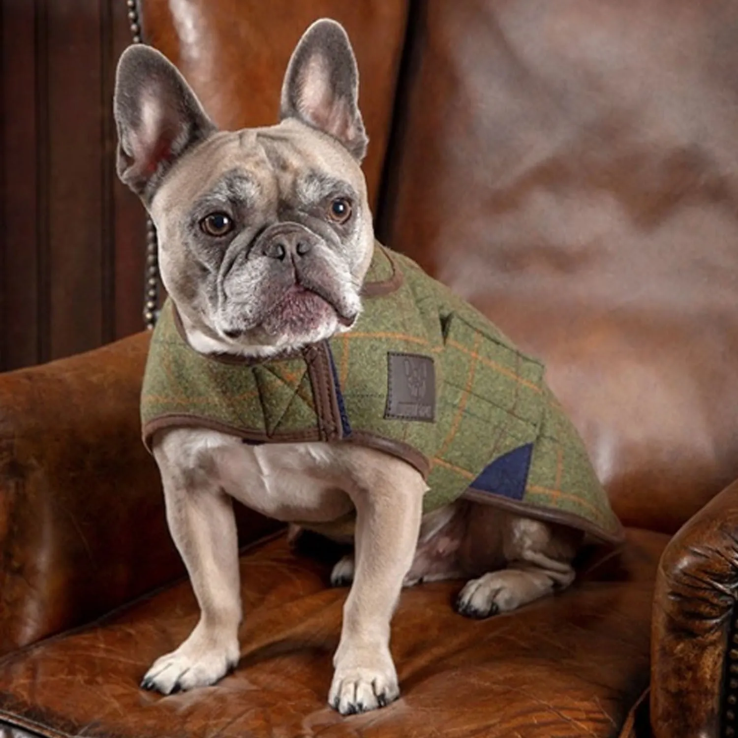 Digby & Fox Tweed Dog Coat