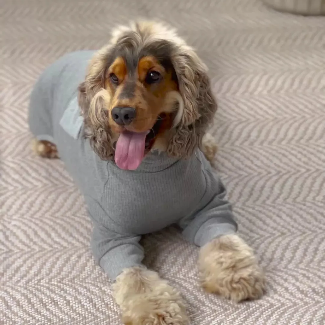 Long John Dog Pyjamas - Grey