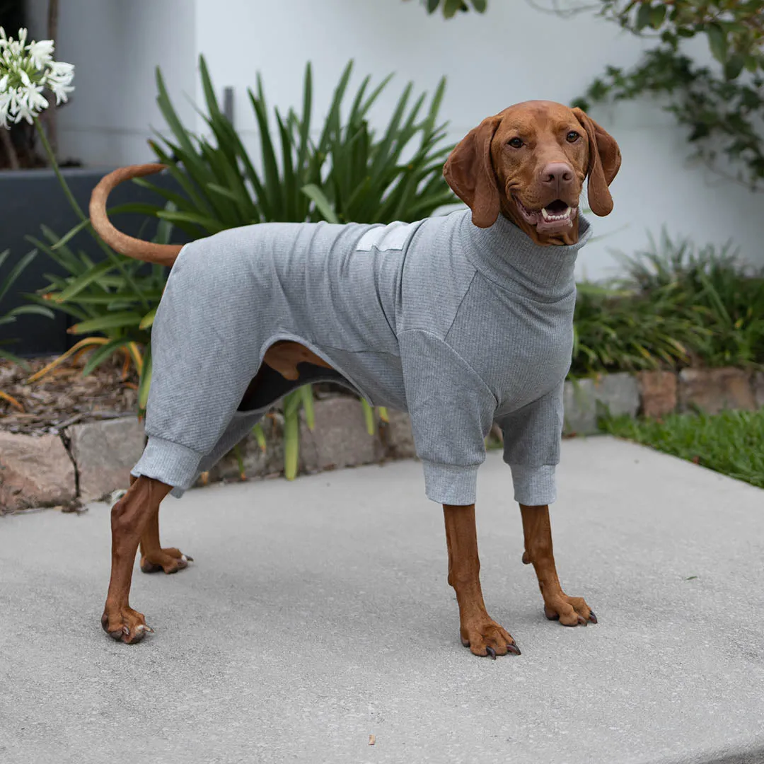 Long John Dog Pyjamas - Grey